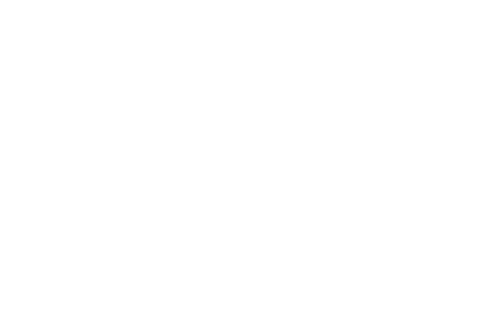 ntv